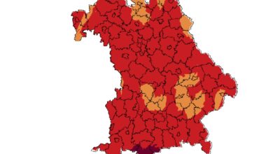 Waldbrandgefahr
