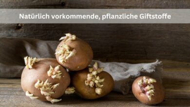 Natürlich vorkommende, pflanzliche Giftstoffe