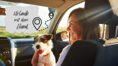 Urlaub mit dem Hund
